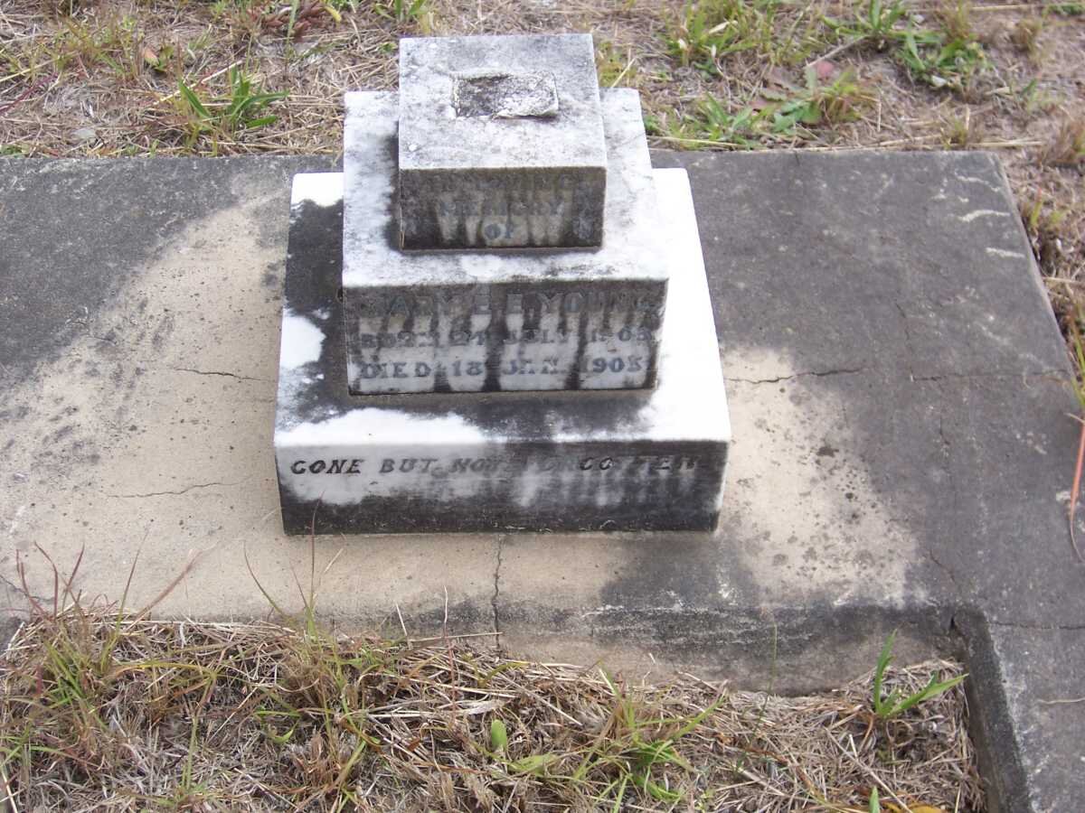 YOUNG Mary E.E. 1903-1905