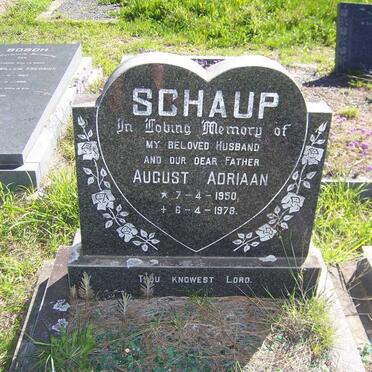 SCHAUP August Adriaan 1950-1978