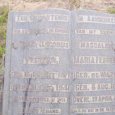 VENTER Pieter Jacobus 1871-1941 &amp; Magdalena Maria Ferreira DE WILZEN 1877-1953