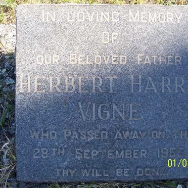 VIGNE Herbert Harry -1955