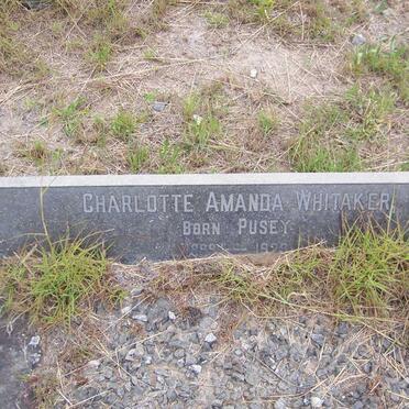WHITAKER Charlotte Amanda nee PUSEY 1899-1929
