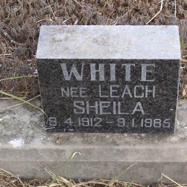 WHITE Sheila nee LEACH 1912-1985