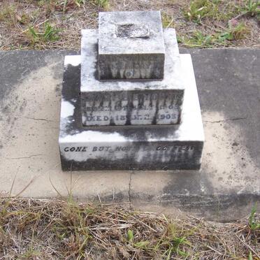 YOUNG Mary E.E. 1903-1905