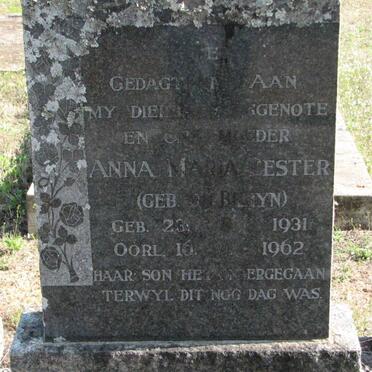 BESTER Anna Maria nee DE BRUYN 1931-1962