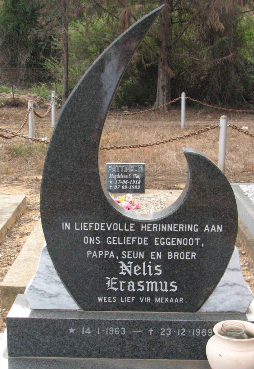 ERASMUS Nelis 1963-1989