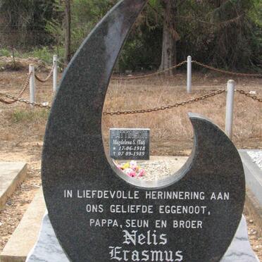 ERASMUS Nelis 1963-1989