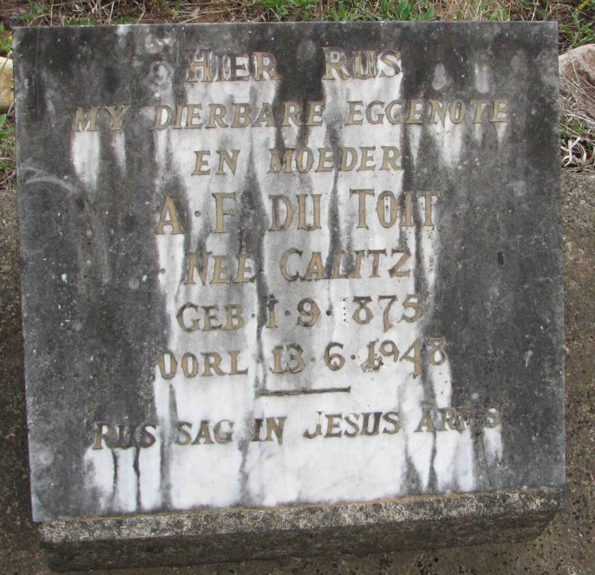 TOIT A.F., du 1875-1948