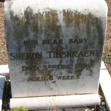 T - Vanne :: Surnames - T