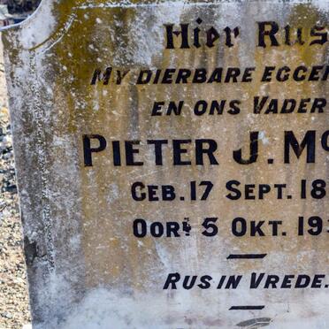 McCAY Pieter J. 1887-1931