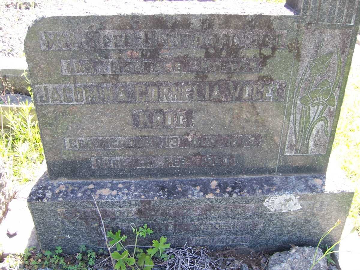 KROG Jacomina Cornelia Vogel 1879-1960