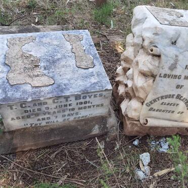 BOYES Gertrude Beatrice -1901