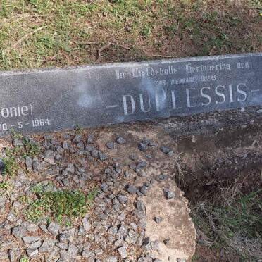 PLESSIS P.J., du 1879-1964 &amp; A.S.C. 1899-1972