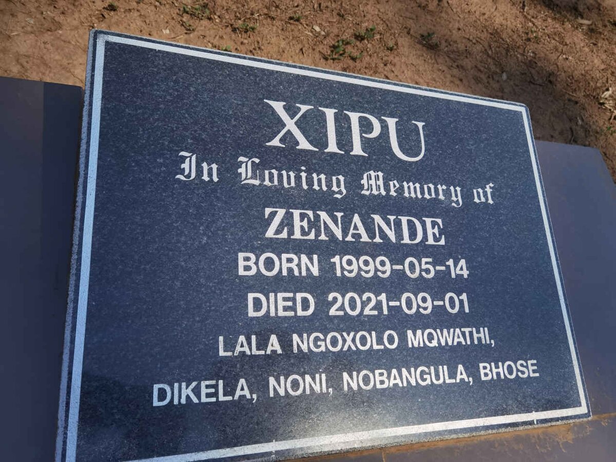 XIPU Zenande 1999-2021