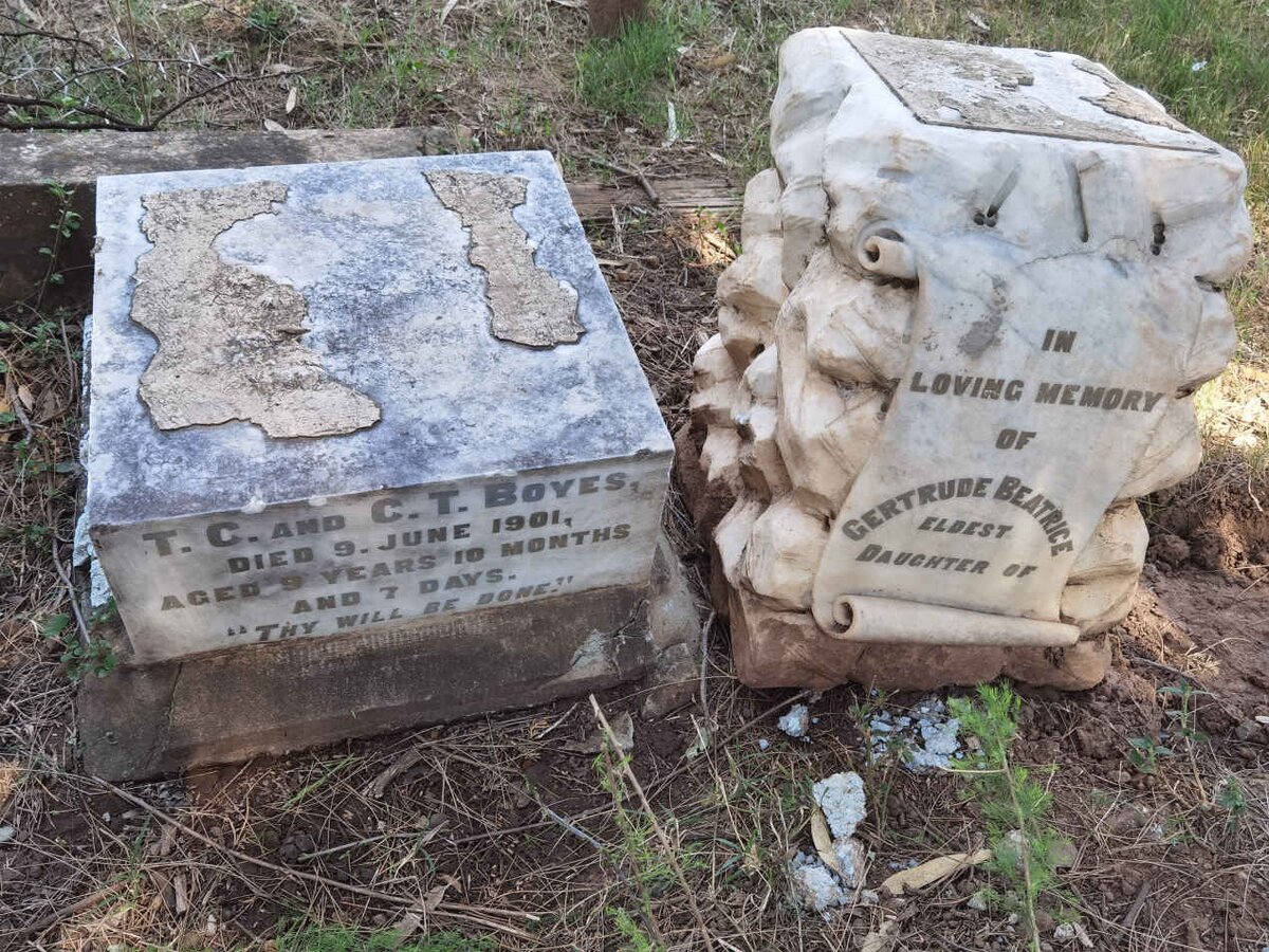 BOYES Gertrude Beatrice -1901