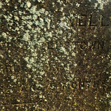 WELLS Henry Harrison -1890