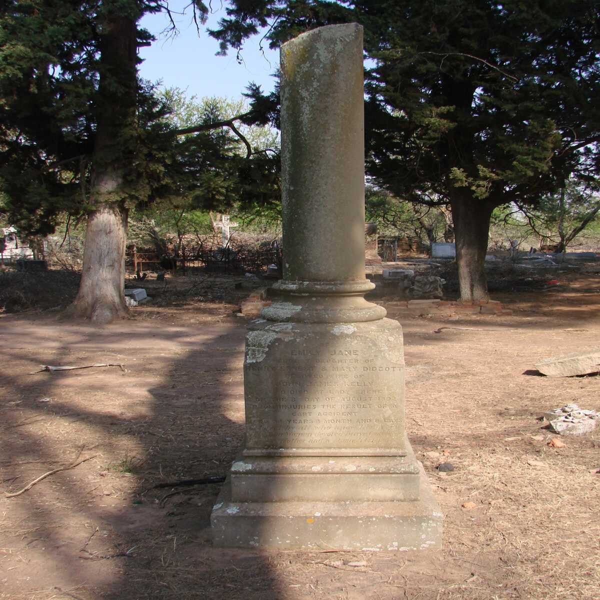 DIDCOTT Emily Jane -1892