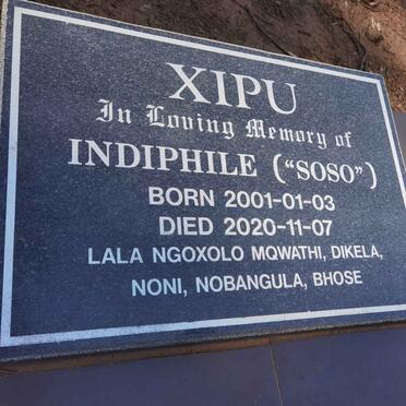 XIPU Indiphile 2001-2020
