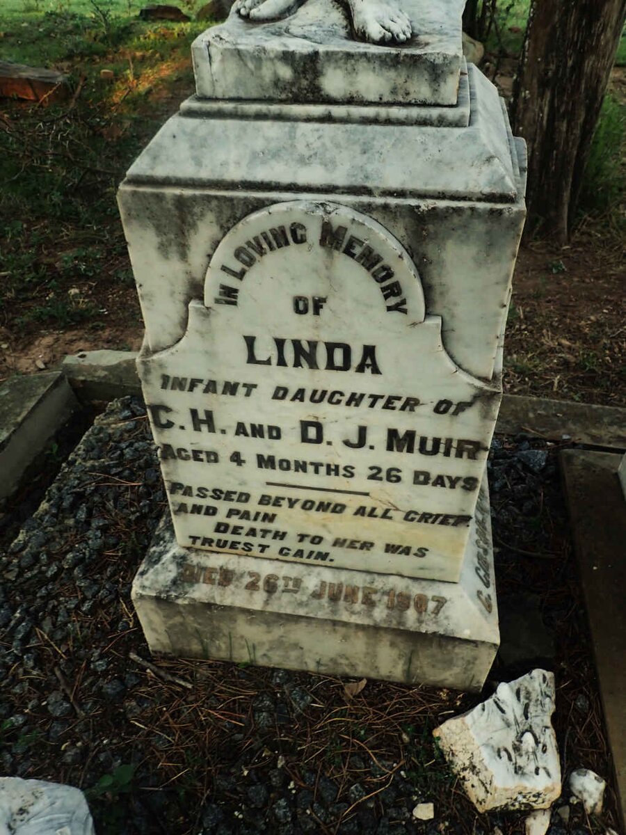 MUIR Linda -1907