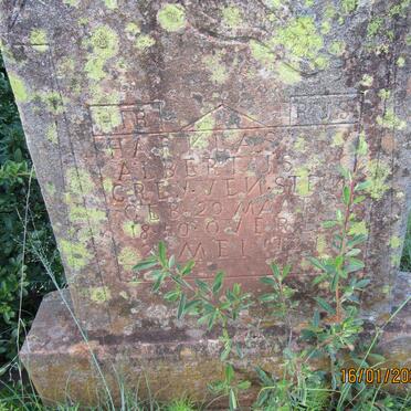 GREYVENSTEIN Harklaas Albertus 1850-1921