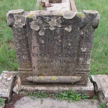 NEL Trynie 1879-1964