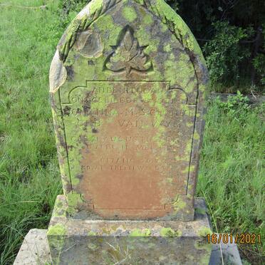 SCHMIDT Johanna M. VAN WIJK 1887-1919