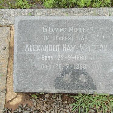 WHITTON Alexander Hay 1880-1960
