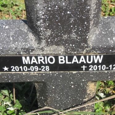BLAAUW Mario 2010-2010