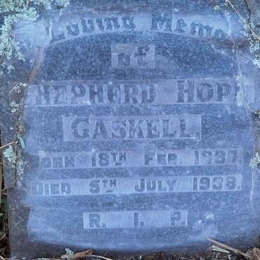 GASKELL Shepherd Hope 1897-1938