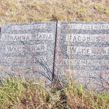 WAGENAAR Jacobus J. 1880-1949 &amp; Johanna Maria DELPORT 1892-1981