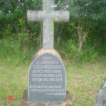 Eastern Cape, MACLEANTOWN, Old cemetery