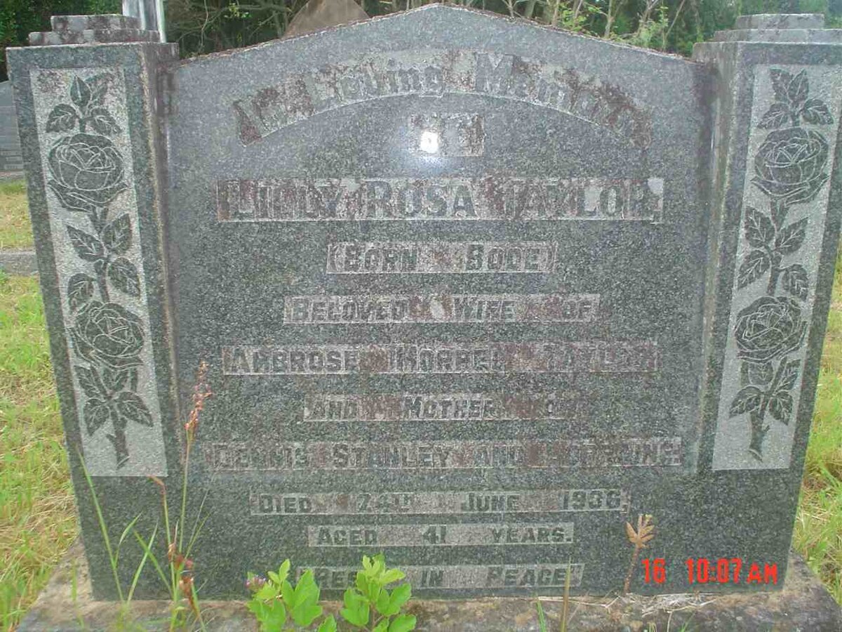 TAYLOR Lilly Rosa nee BODE -1936