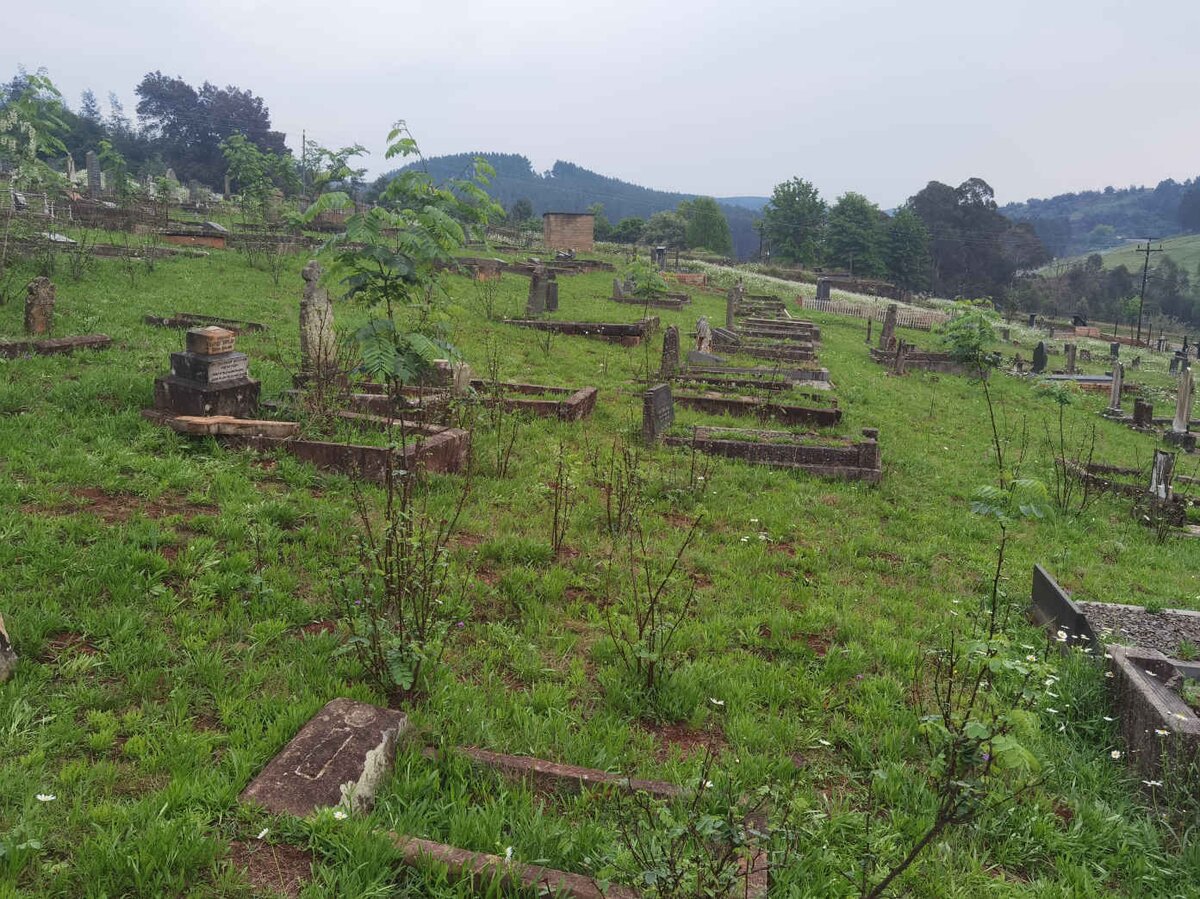 3. Overview / Oorsig