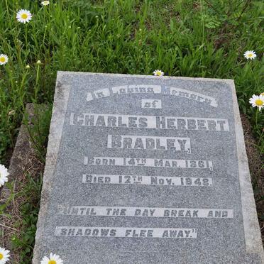 BRADLEY Charles Herbert 1861-1948