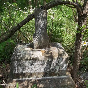 BOARDMAN J. 1892-1893