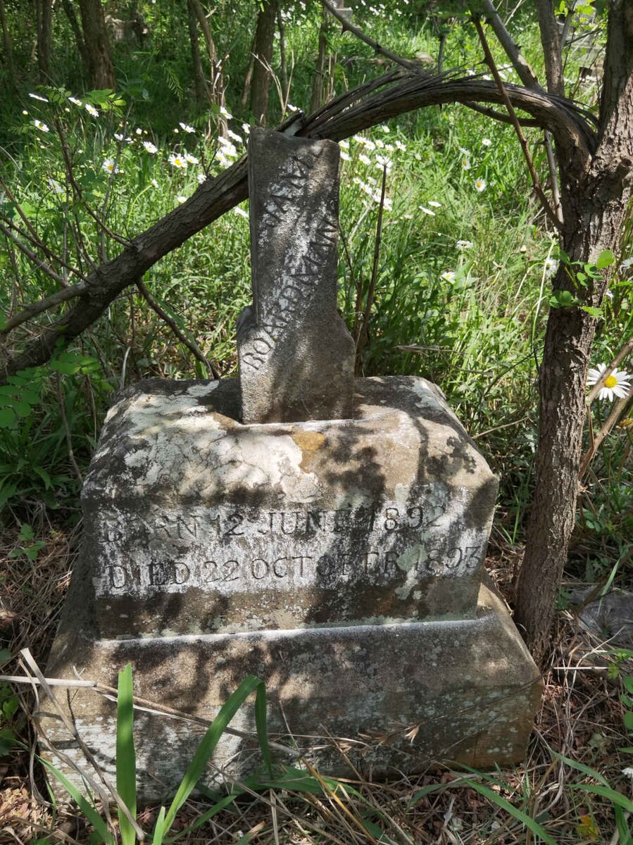 BOARDMAN J. 1892-1893