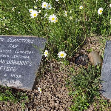 COETSEE Nicolaas Johannes 1908-1978 &amp; Susanna Catharina HERSELMAN 1911-1990