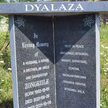 D - Vanne :: Surnames - D