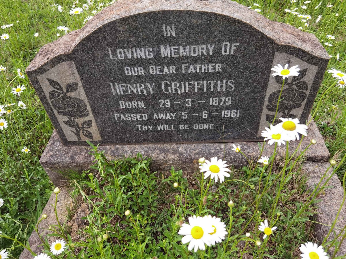 GRIFFITHS Henry 1879-1961