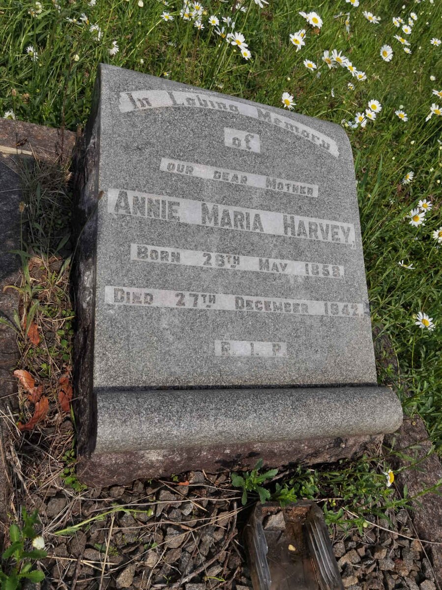 HARVEY Annie Maria 1858-1942