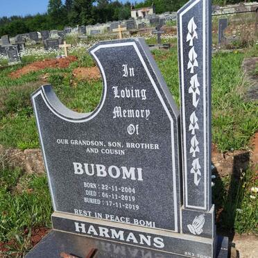 HARMANS Bubomi 2004-2019