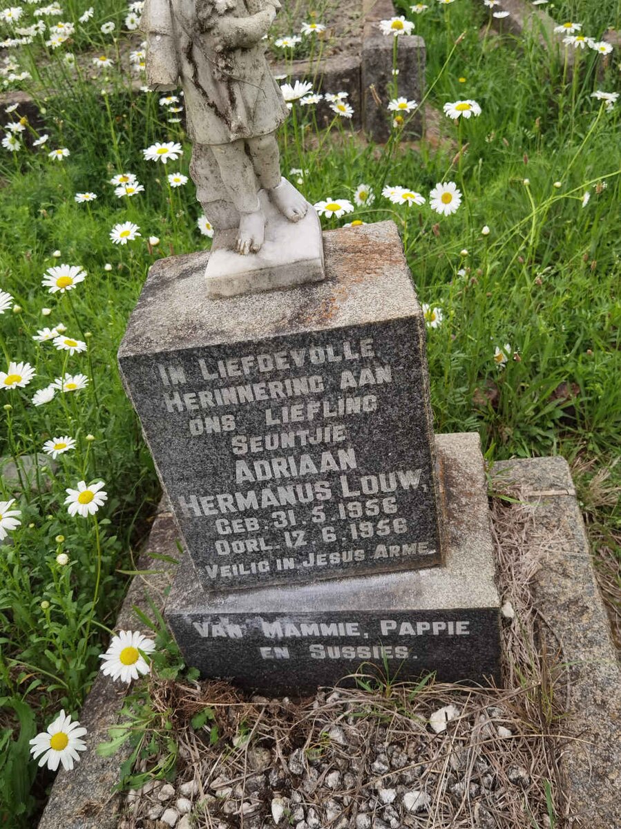 LOUW Adriaan Hermanus 1956-1956
