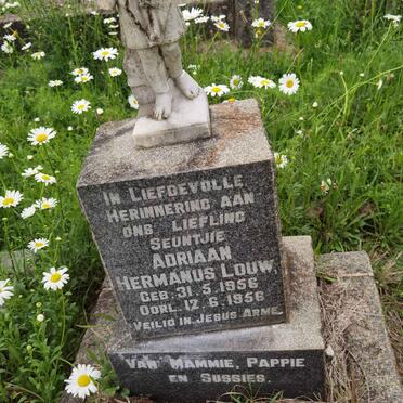 LOUW Adriaan Hermanus 1956-1956