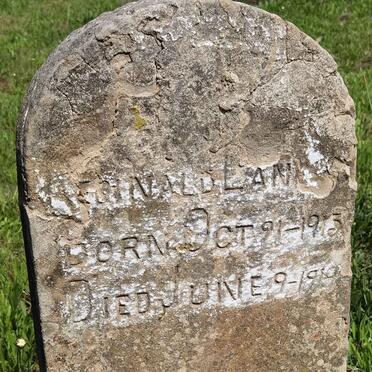 LANGLEY Reginald 1913-1919