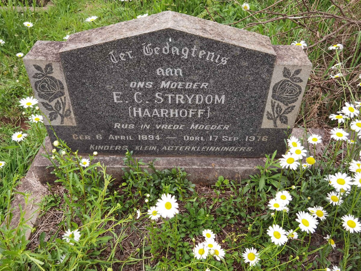 STRYDOM E.C. nee HAARHOFF 1894-1976