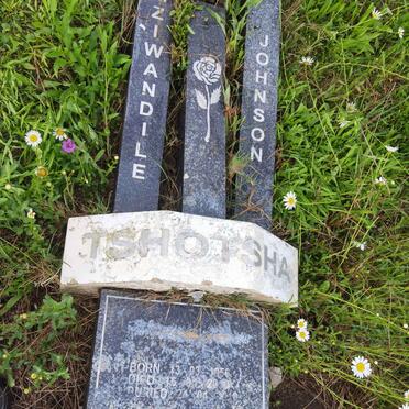 TSHOTSHA Mziwandile Johnson 1956-20?0