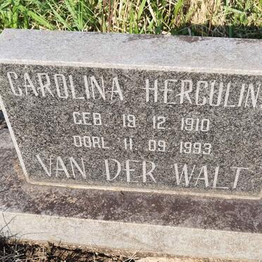 WALT Carolina Herculina, van der 1910-1993