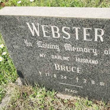 WEBSTER Bruce 1924-1981