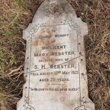 WEBSTER Millicent Mary -1921