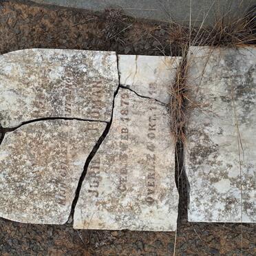 HUMAN Jurie 1879-1918