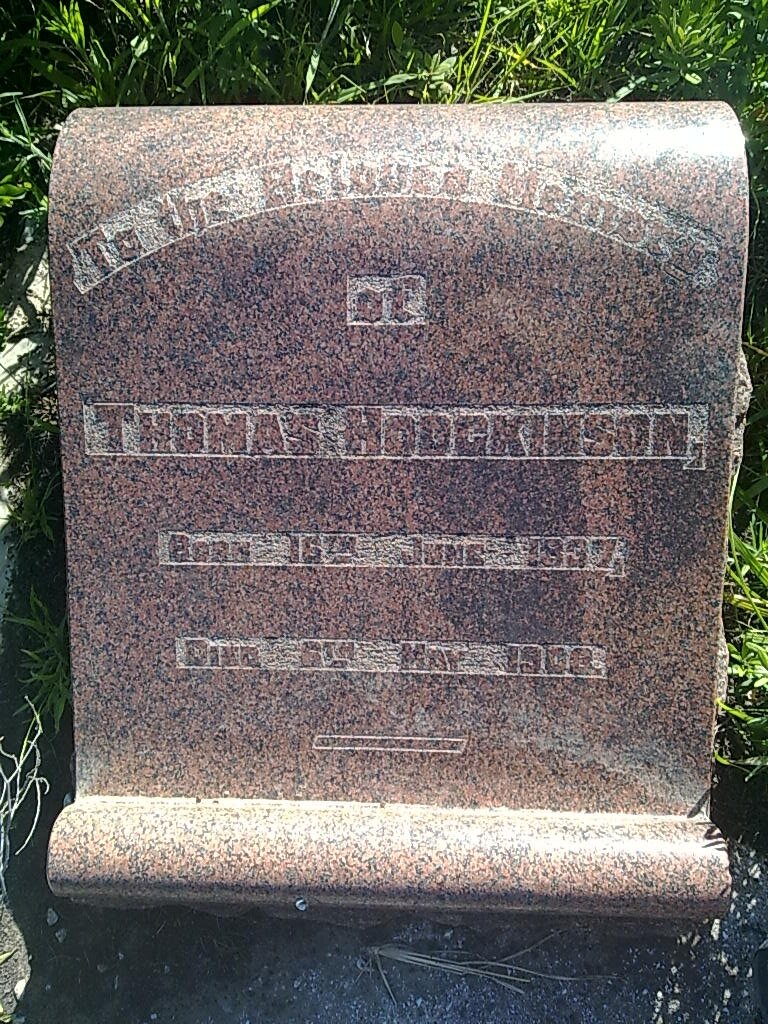 HODGKINSON Thomas 1837-1908